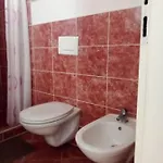 Lägenhet Mijatovic Vodice