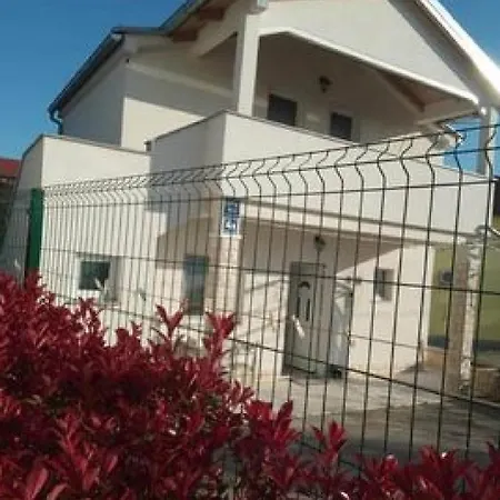 Mijatovic *