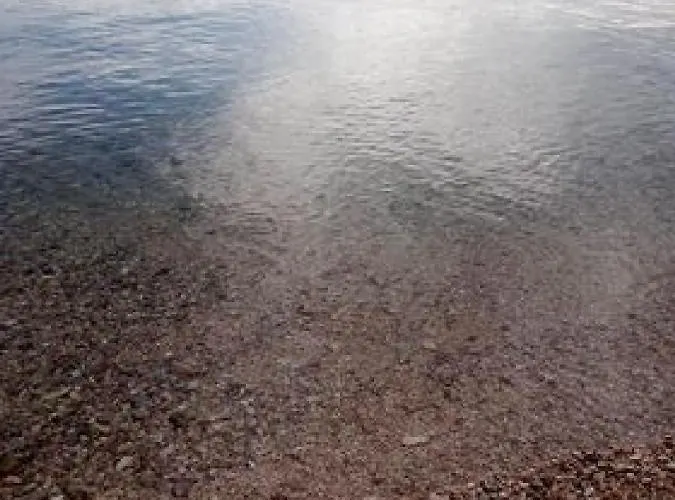 公寓 Mijatovic 沃迪切